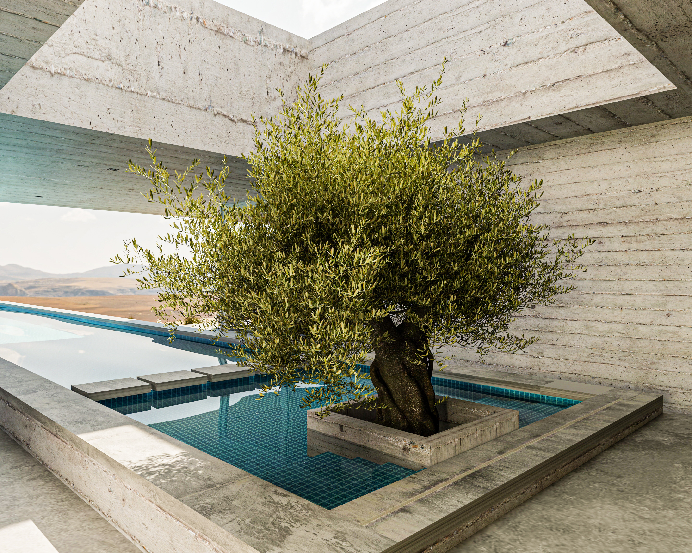 The Lap Pool House 5